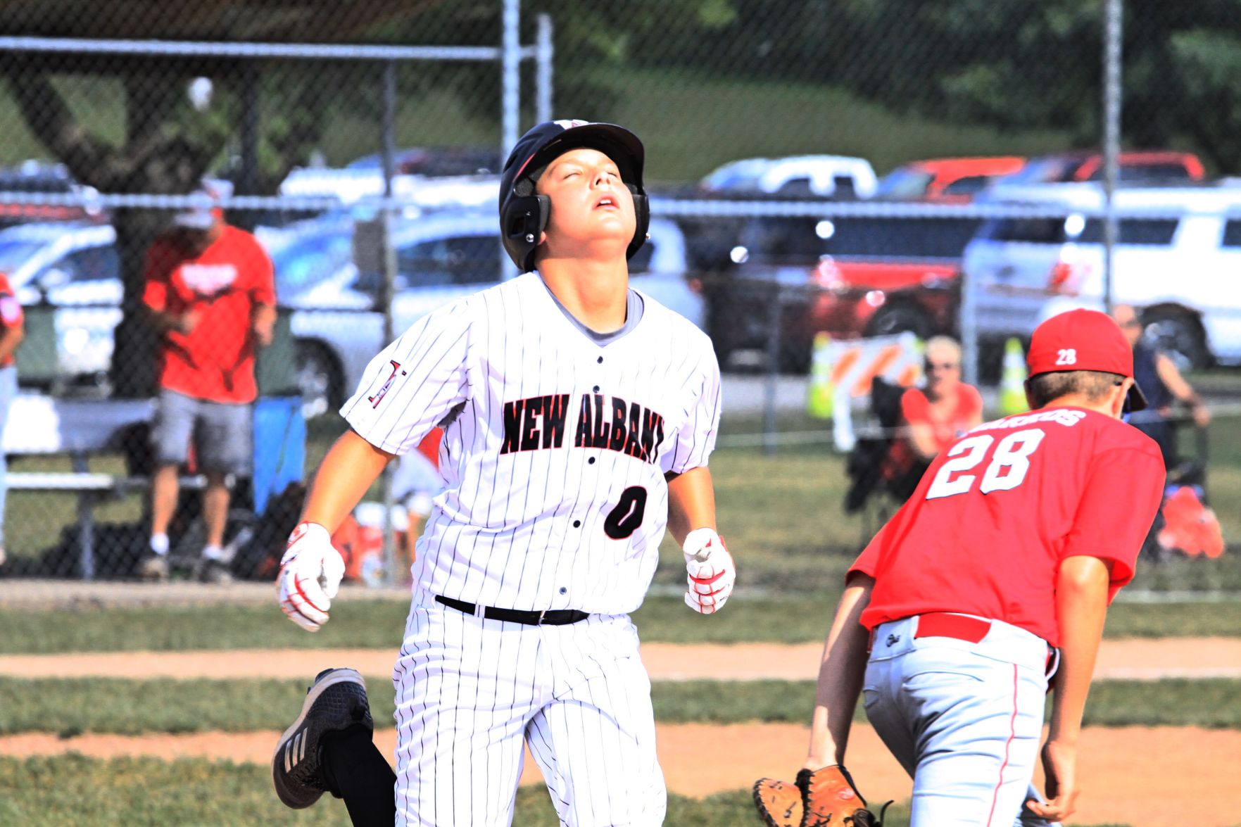 NALL pic4